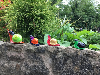 august newsletter - snail racing - arts and crafts